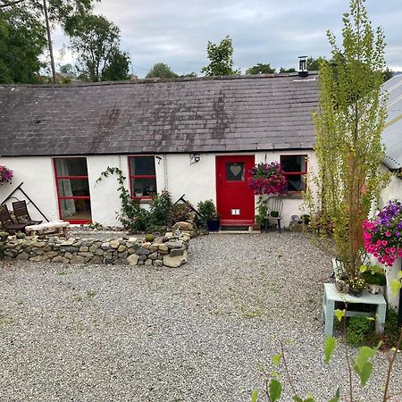 Stone Wall Cottage Castlewellan Dış mekan fotoğraf