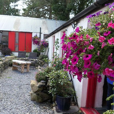 Stone Wall Cottage Castlewellan Dış mekan fotoğraf