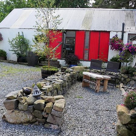 Stone Wall Cottage Castlewellan Dış mekan fotoğraf
