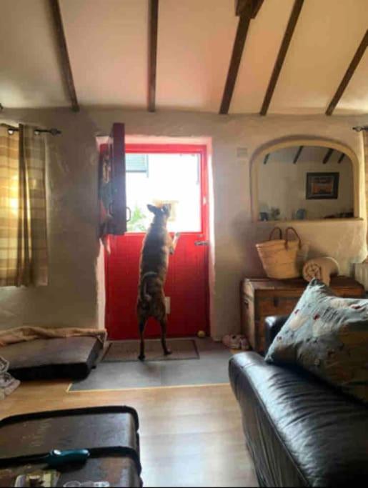 Stone Wall Cottage Castlewellan Dış mekan fotoğraf