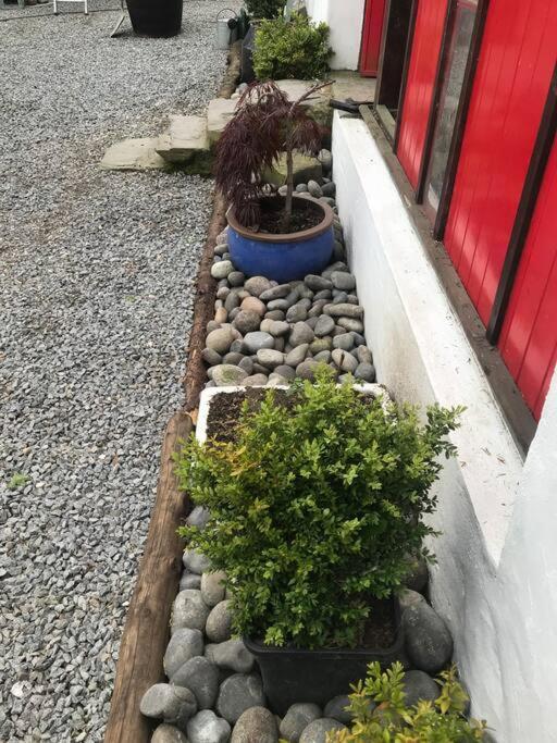Stone Wall Cottage Castlewellan Dış mekan fotoğraf