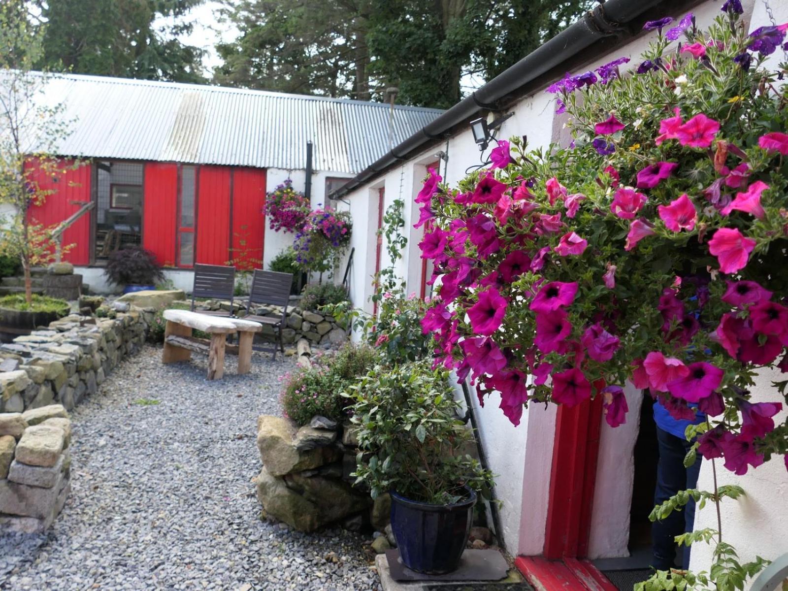Stone Wall Cottage Castlewellan Dış mekan fotoğraf